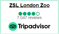 Tripadvisor