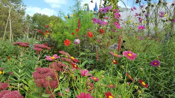 Butterfly garden at London Zoo