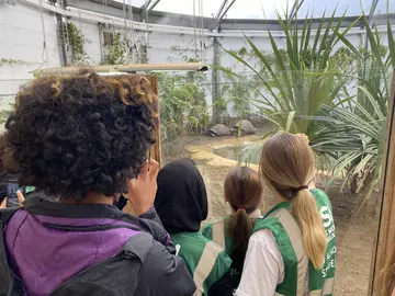 Students looking at the giant tortoises