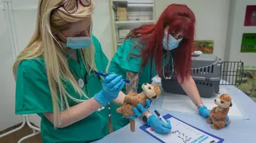 Vets in Action at London Zoo