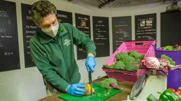 Zookeeper  prepares breakfast for the gorillas at London Zoo