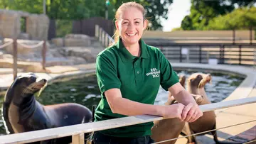 Zookeeper Alex Pinnell in the sea lion habitat at Whipsnade Zoo