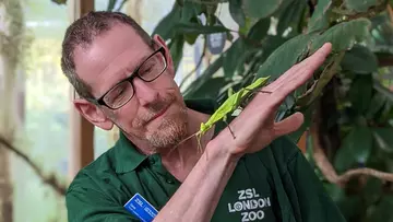 Dave Clarke with an insect on the back of his hand at London Zoo