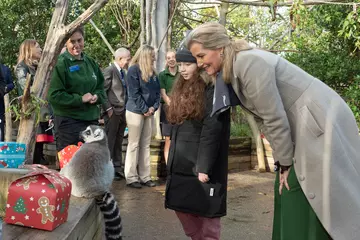 HRH The Countess of Wessex and a young girl watch a lemur at London Zoo