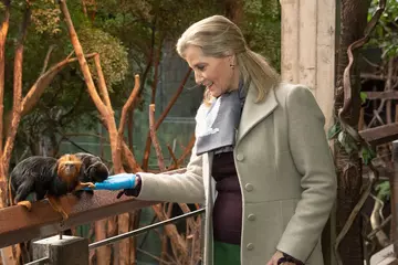 HRH The Countess of Wessex feeds monkeys in Rainforest Life at London Zoo