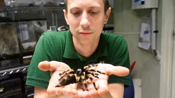 Jamie Mitchell holding a spider in his hands at London Zoo
