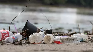 Plastic bottles and waste washed up on a beach