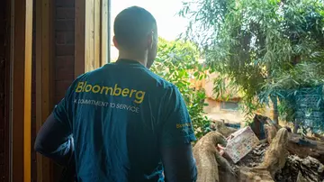 A member of the Bloomberg team looking at a huge cardboard box the Bloomberg team turned into a festive treat for Komodo dragon, Ganas