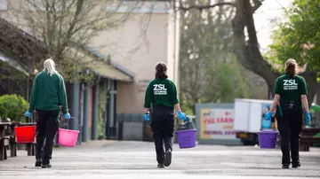 Three keepers carrying buckets and social distancing at London Zoo 