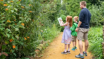 london zoo sense sational day