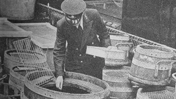 A keeper tends to a collection of rare fish that have been stored away during World War 2.