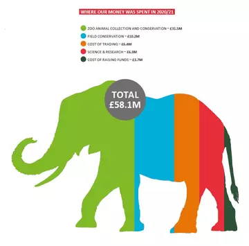 ZSL spend infographic 20-21