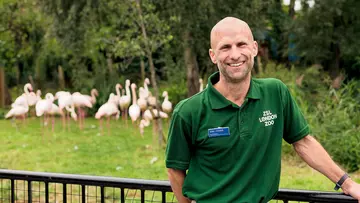 Nic Masters standing in front of the flamingo habitat at London Zoo