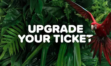 Upgrade Ticket to Membership