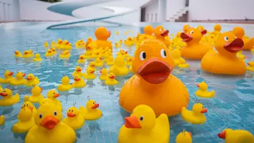 Rubber ducks in Lubetkin penguin pool at London Zoo