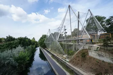 Monkey Valley overlooking the canal