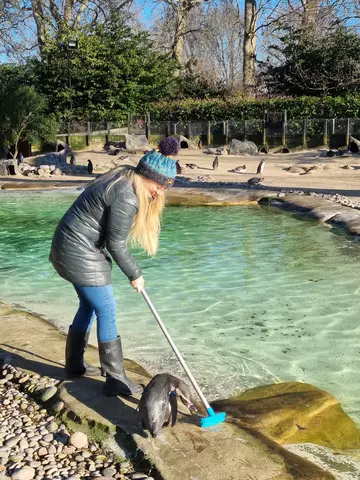 Participant on penguin keeper experience