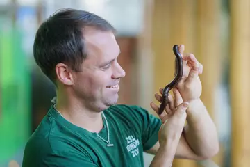 Sam Aberdeen adds Seychelles Millipedes to London Zoo stocktake 