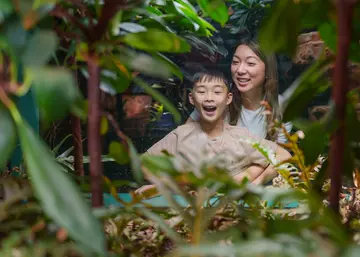 Son and mum, family, at Secret Life of Reptiles and Amphibians looking into a habitat.