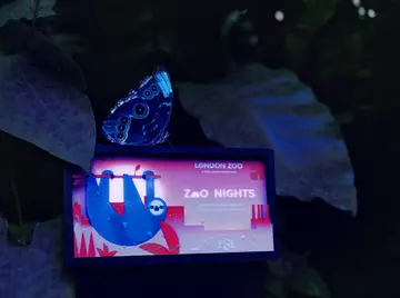 Blue morpho butterfly on top of miniature UV-reactive billboard