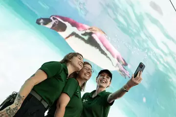 Zookeepers take selfie in-front of a VR rendering of penguin, Rainbow