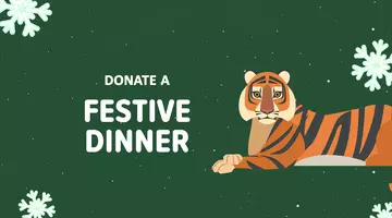 Donate a festive dinner