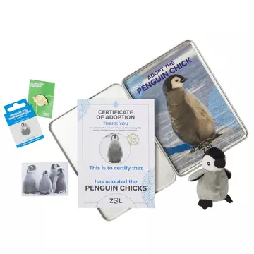 Penguin Adoption Pack