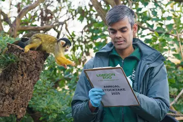 London Zoo stocktake squirrel monkey