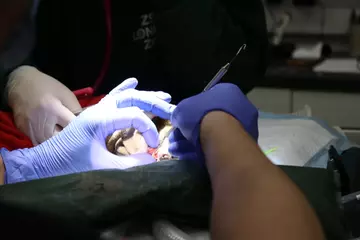 London Zoo vets and dentists operate on Ernest the pygmy slow loris