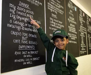 A child points to a chalkboard
