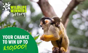 ZSL's Wildlife Winners lottery 