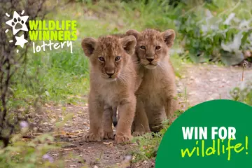 Wildlife Winners Lottery