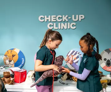 Two children dressed as vets doing a check up on a toy reptile