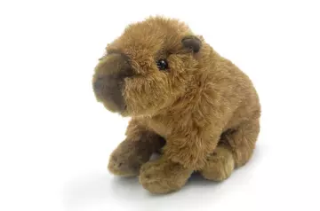 Capybara soft toy on a white background