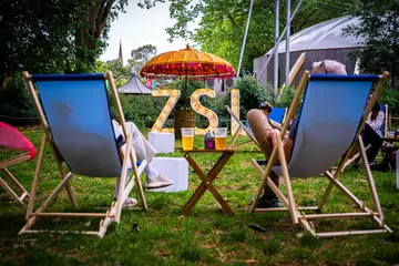 Two blue deck chairs face away from the camera towards a light up sign saying 'ZSL'