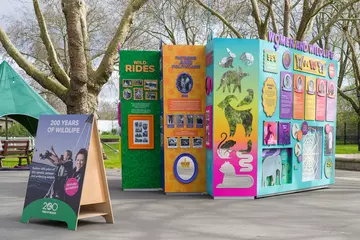 A colourful cube in the grounds of London Zoo highlighting ZSL's history