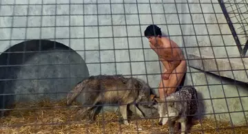 American Werewolf in London