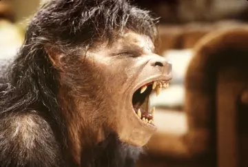 American werewolf in London