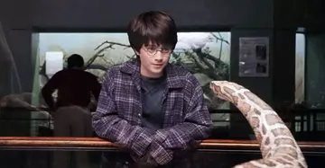  Harry Potter and the Philosopher's Stone
