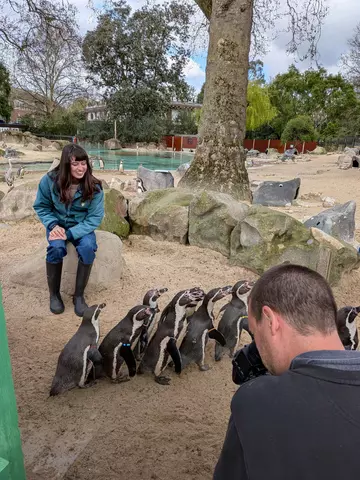Blue Peter presenter Abby Cook with Humbolt penguins during Zoo Peter filming