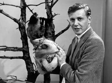 David Attenborough looks at an armadillo for 'Attenborough and Animals' 