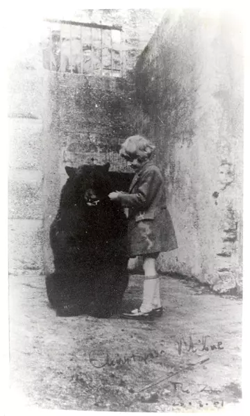 Christopher Robin seen here feeding honey to Winnipeg at London Zoo, 1914