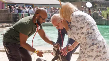 Vet Stefan Saverimuttu and His Majesty King Charles and Her Majesty Queen Camilla perform health check on Lannister the Penguin on penguin beach.jpg