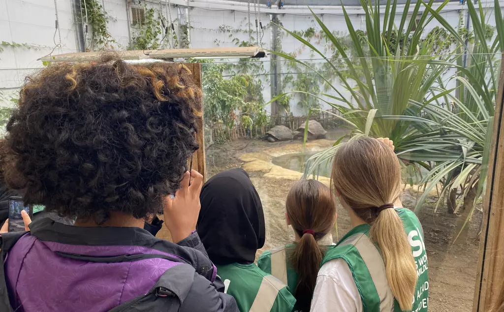 Students looking at the giant tortoises