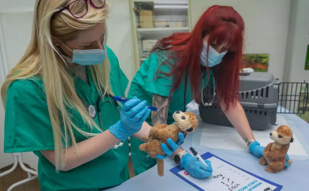 Vets in Action at London Zoo