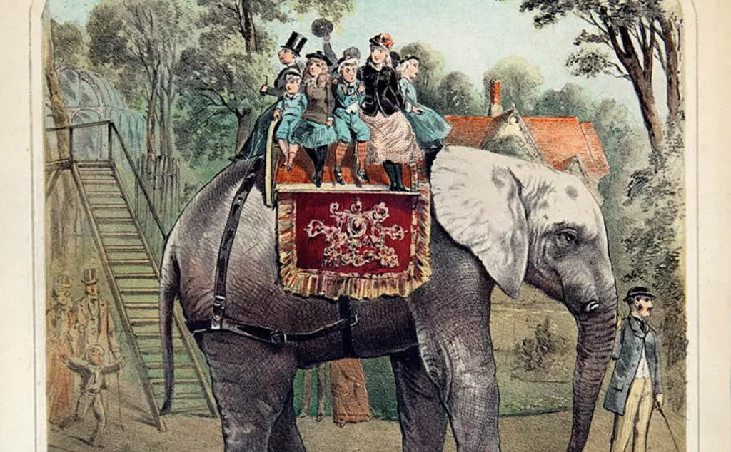A cover for musical sheet music illustrated by Alfred Concanen, for the pianoforte by George Barnham, performed in Oxford Street, central London, 1882, prior to Jumbo's departure from London Zoo to the United States of America.