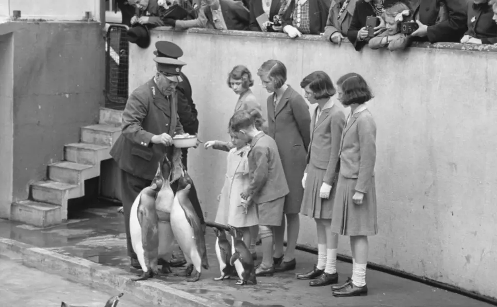 Princess Elizabeth visits the penguins at London Zoo in 1939