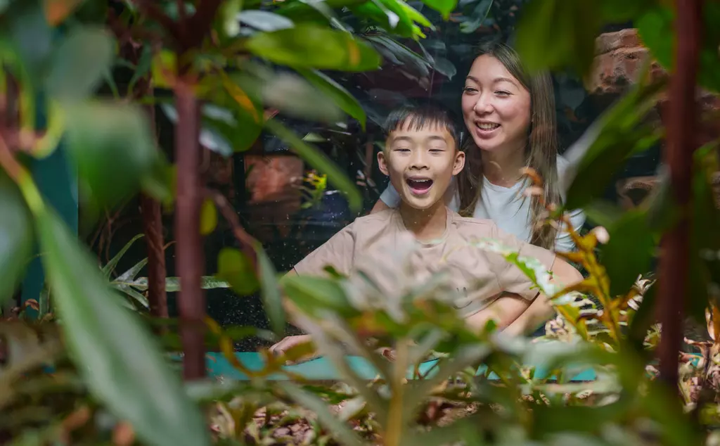 Son and mum, family, at Secret Life of Reptiles and Amphibians looking into a habitat.