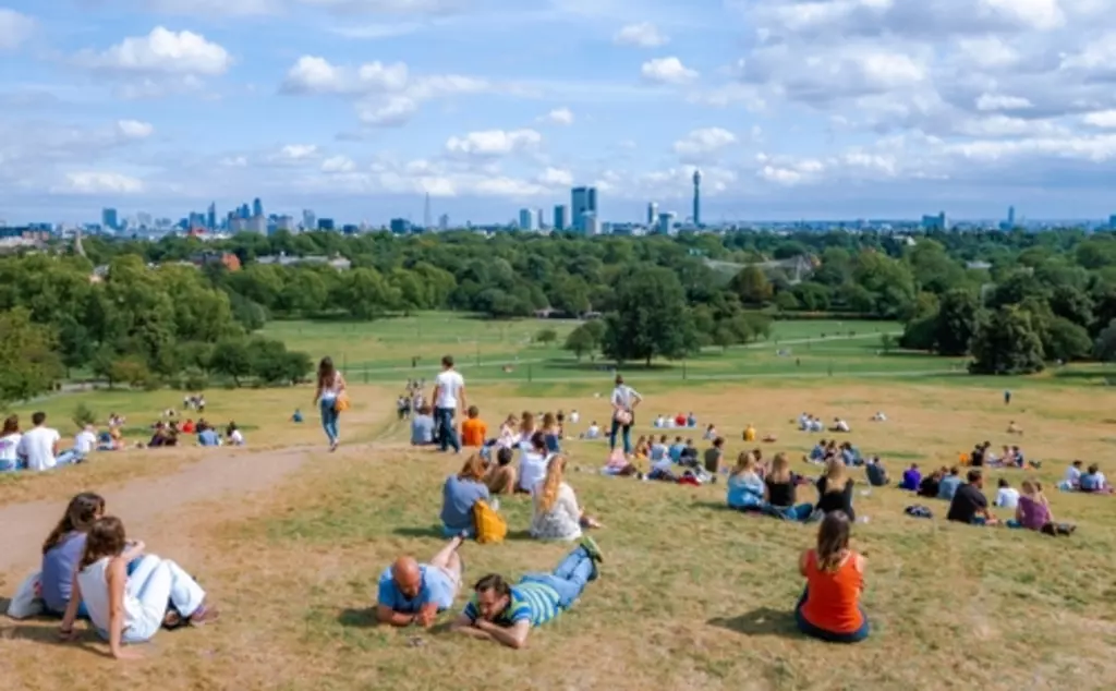 Primrose Hill