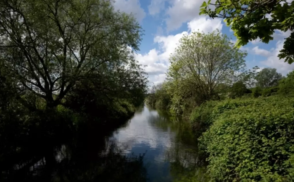 A river view from Walthamstow Wetlands